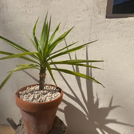 Ferienhaus Gite Balneo Sous Le Figuier Six-Fours-les-Plages
