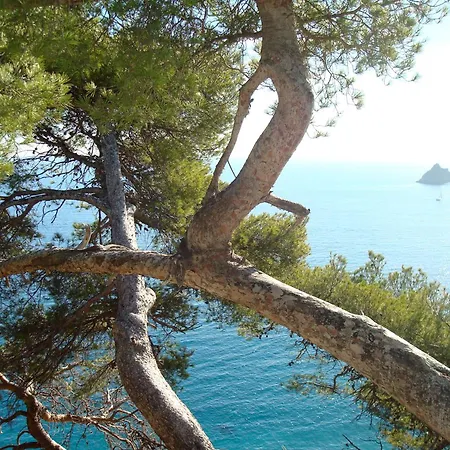 Gite Balneo Sous Le Figuier *